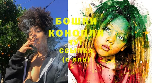 прущий лед Белокуриха