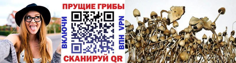 omg вход  Горячий Ключ  Галлюциногенные грибы Magic Shrooms  как найти наркотики 